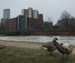 Salford Flood Warning 